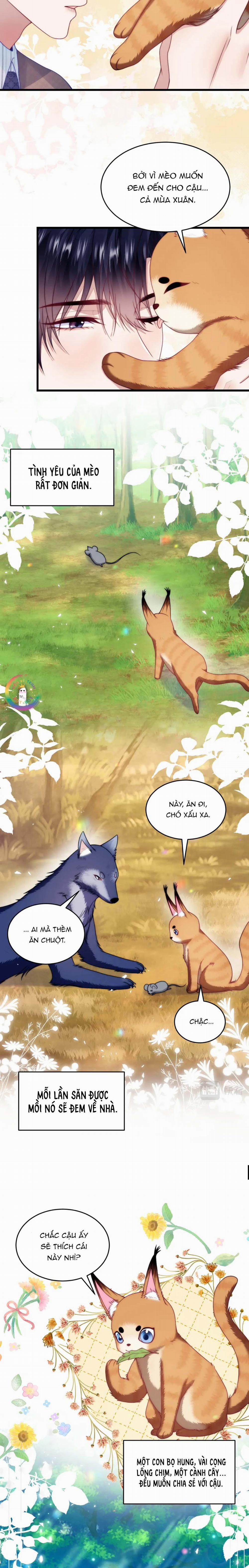 Mèo Hoang Nhỏ Của Học Bá Quá Trêu Người (END) 80 trang 10