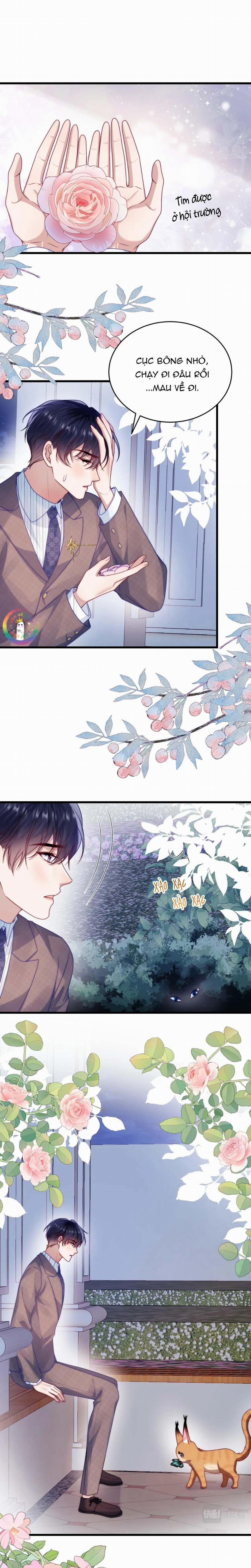 Mèo Hoang Nhỏ Của Học Bá Quá Trêu Người (END) 80 trang 8