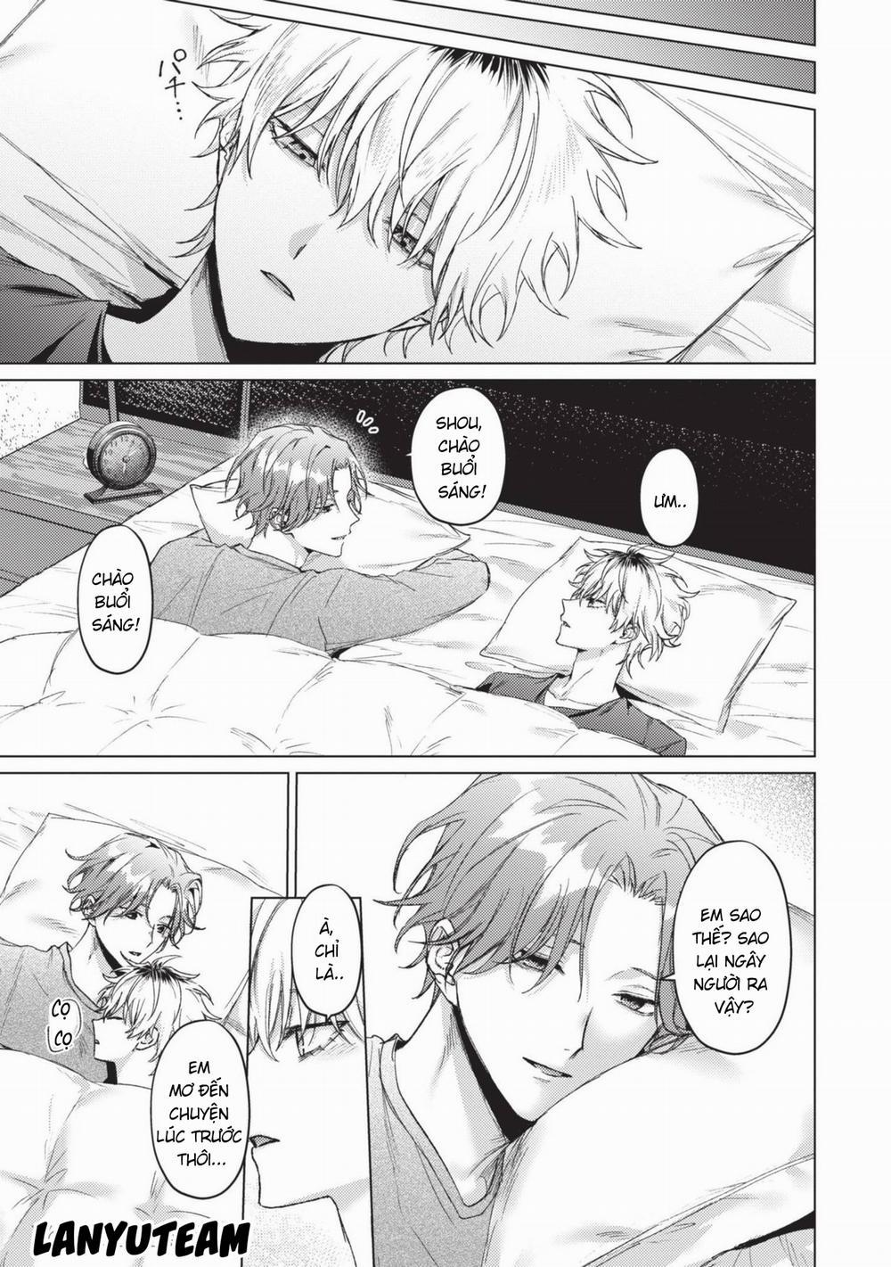 Mèo Nhỏ Dưới Ánh Hoàng Hôn 10 trang 11