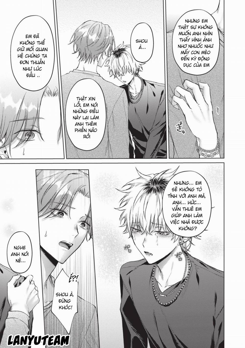 Mèo Nhỏ Dưới Ánh Hoàng Hôn 10 trang 3