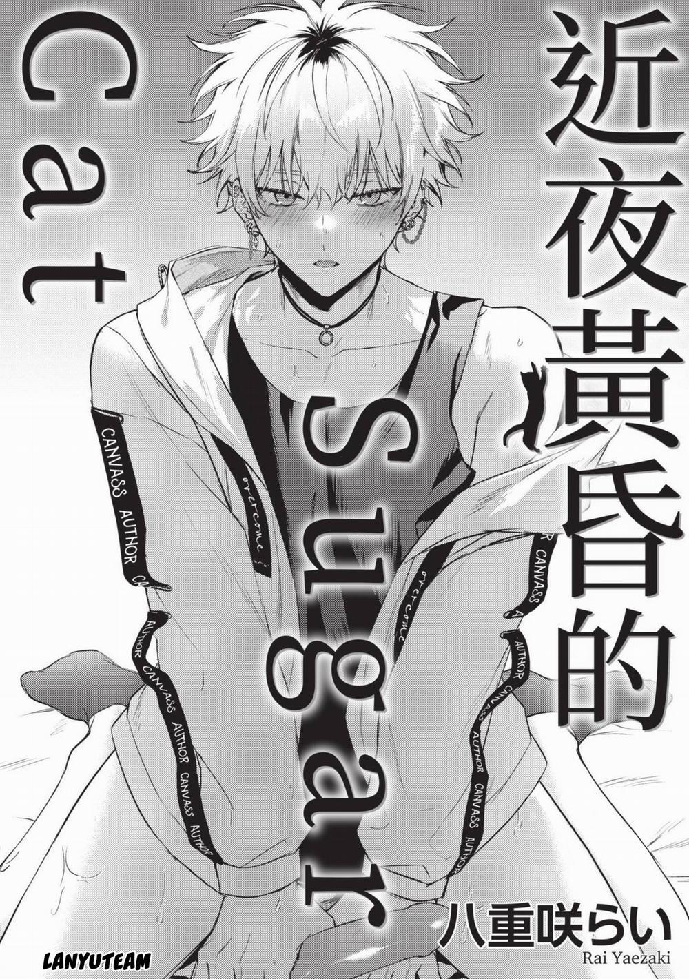 Mèo Nhỏ Dưới Ánh Hoàng Hôn 4 trang 0