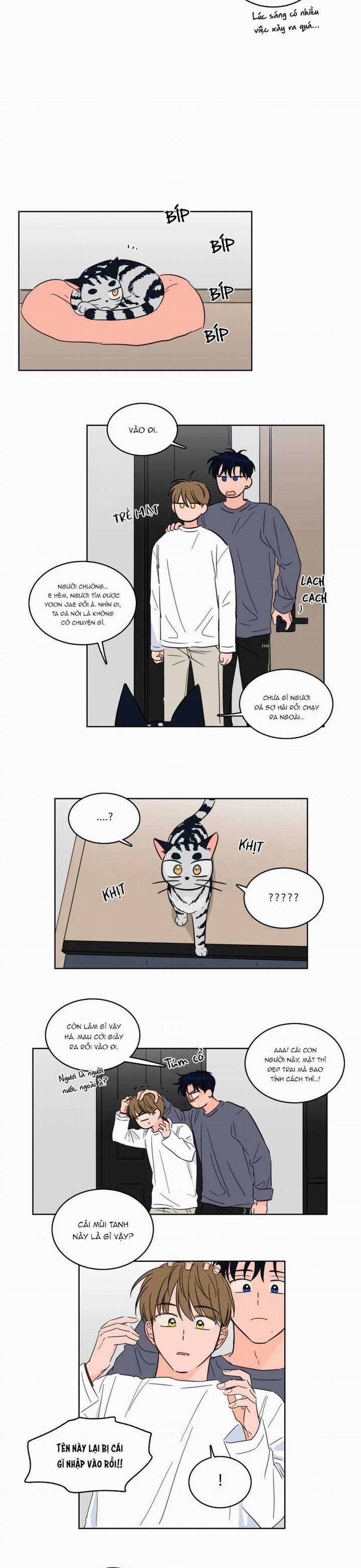 Mẹo Thuần Hóa Hổ 15 trang 4