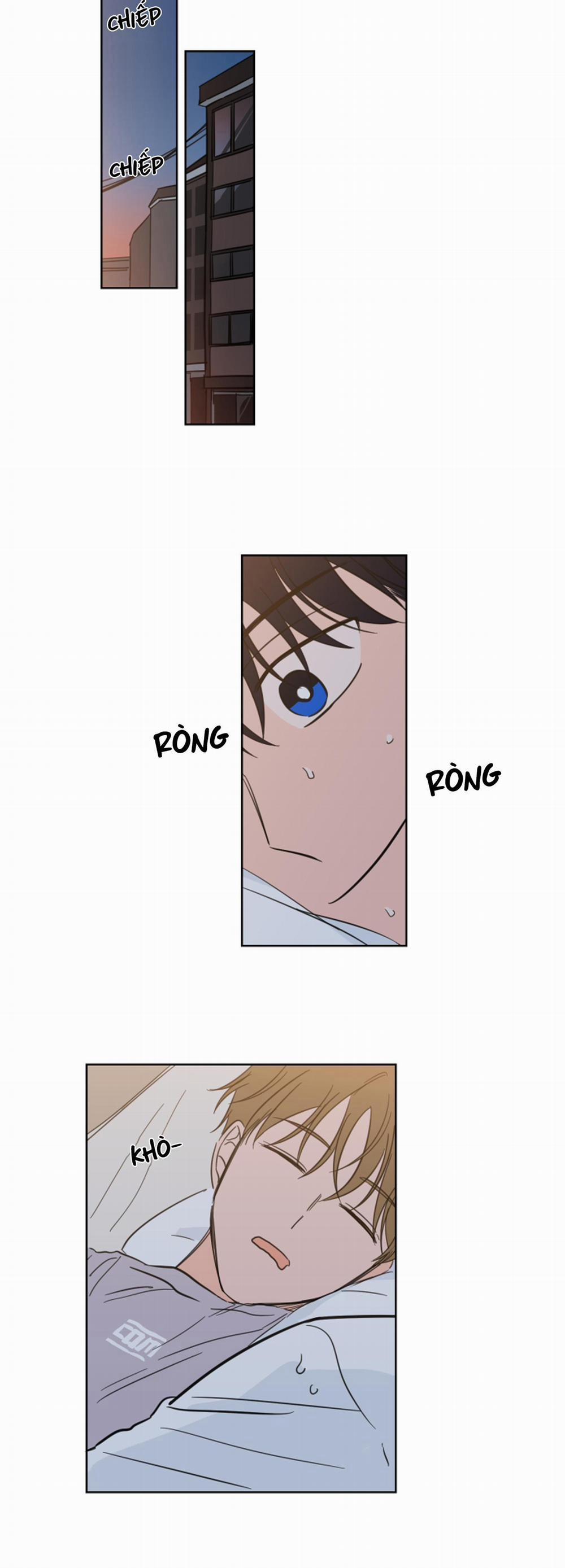 Mẹo Thuần Hóa Hổ 20 trang 4