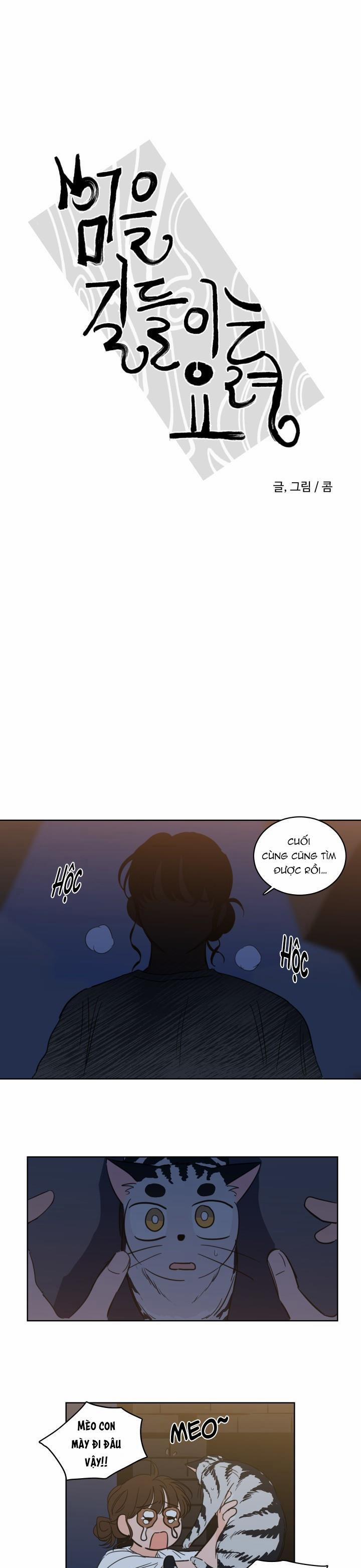 Mẹo Thuần Hóa Hổ 27 trang 0