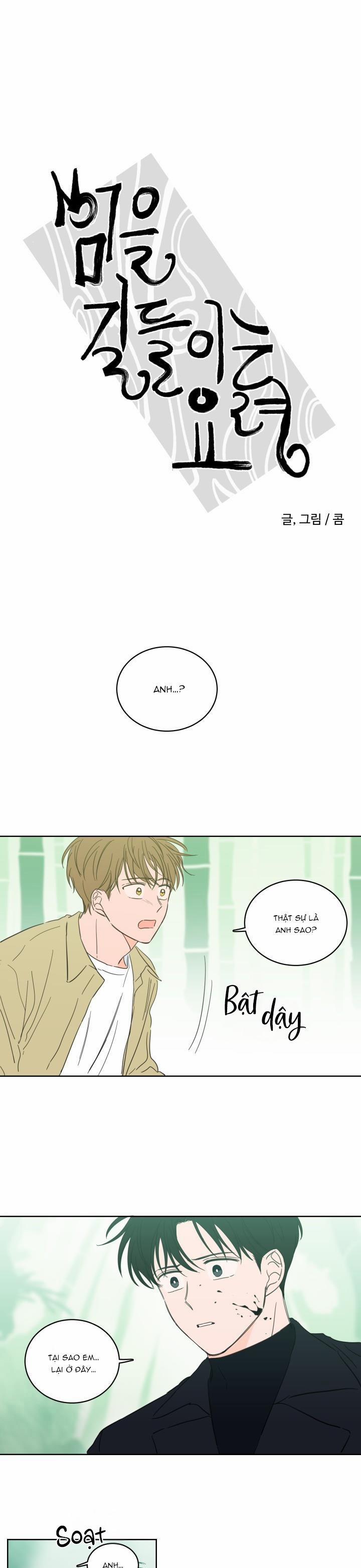 Mẹo Thuần Hóa Hổ 28 trang 0