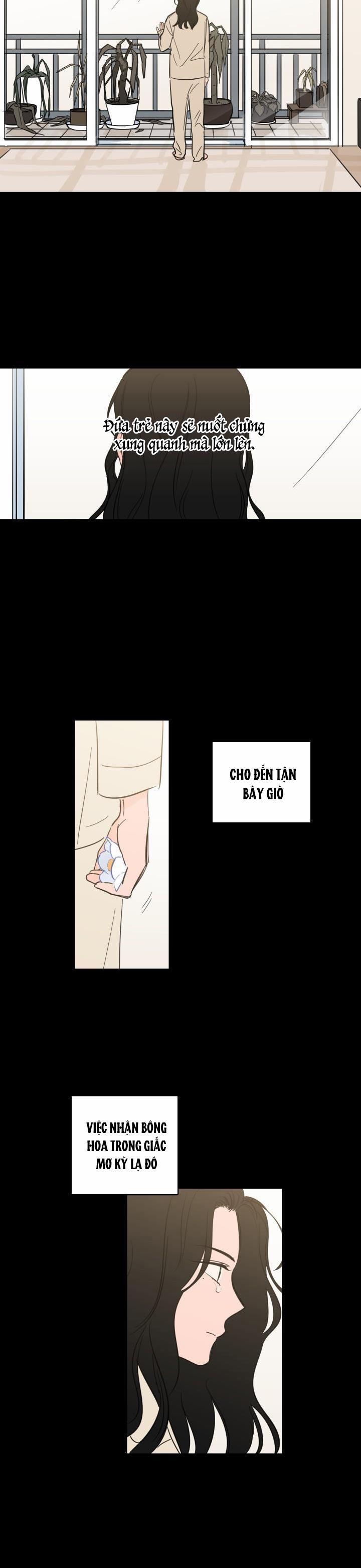 Mẹo Thuần Hóa Hổ 33 trang 11