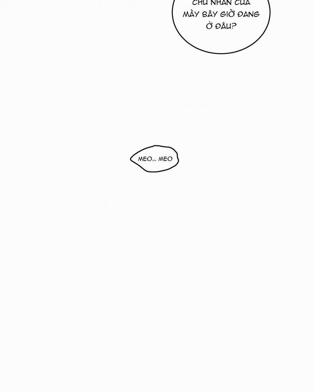 Mẹo Thuần Hóa Hổ 41 trang 29