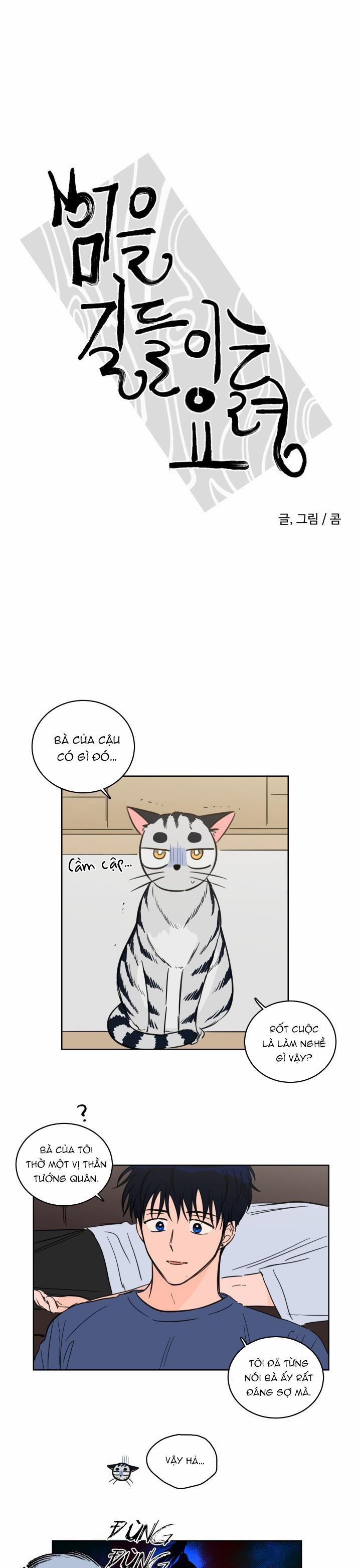 Mẹo Thuần Hóa Hổ 43 trang 0