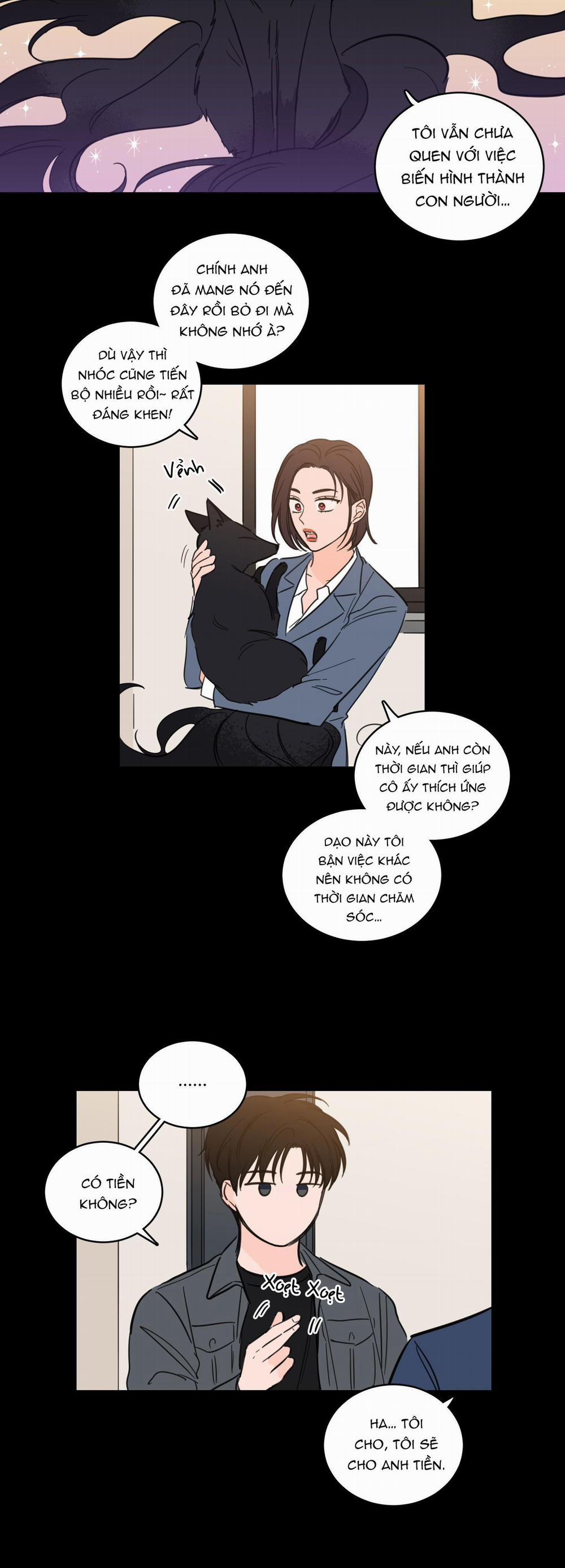 Mẹo Thuần Hóa Hổ 49 trang 11