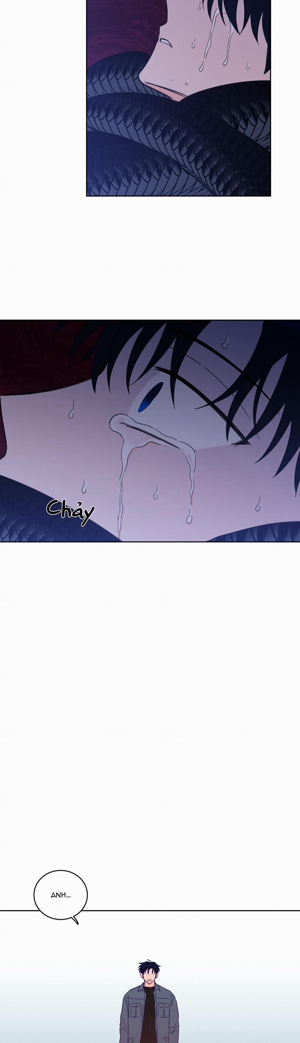 Mẹo Thuần Hóa Hổ 58 trang 14