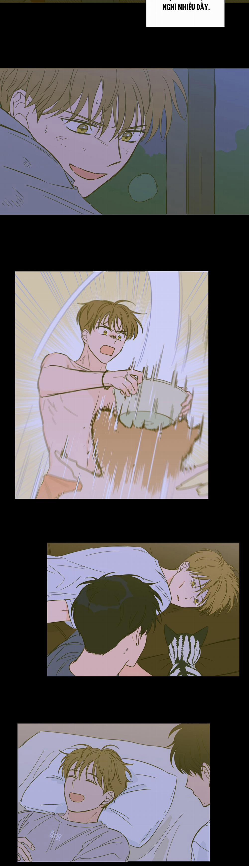 Mẹo Thuần Hóa Hổ 60 trang 14