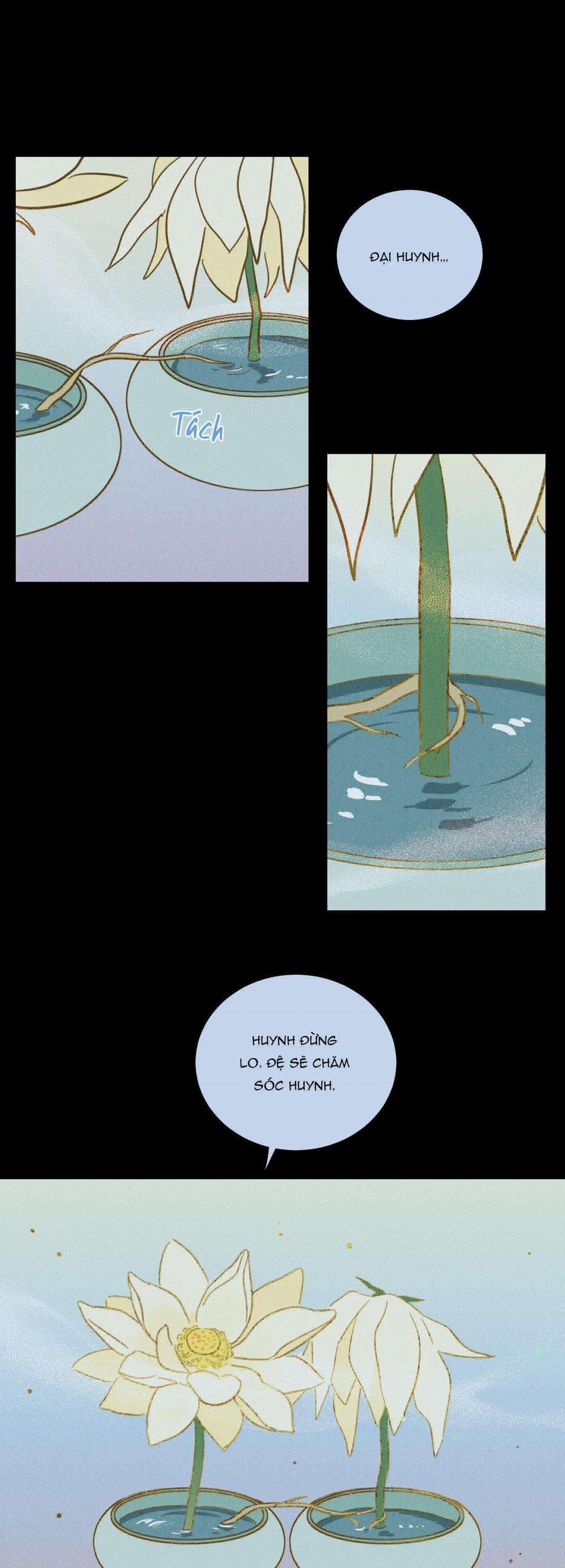 Mẹo Thuần Hóa Hổ 74 trang 19