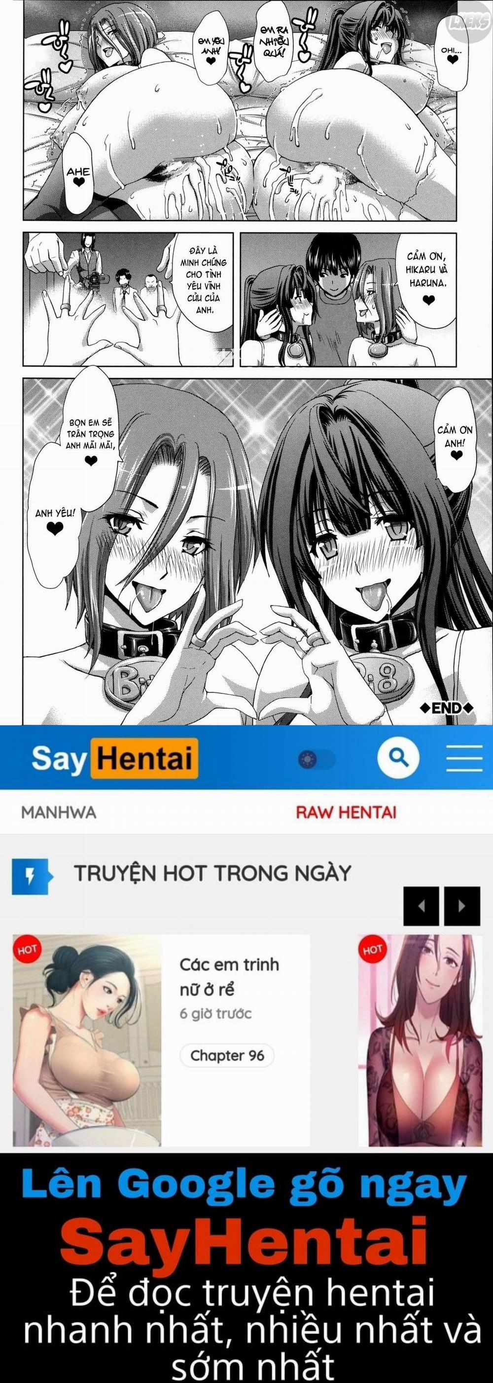 Mesuochi Z ~Kyousei Ninkatsu Haigou Zukan 5 trang 28