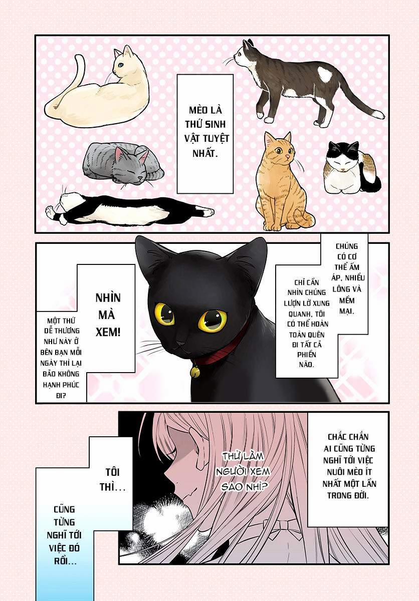 Mi-Chan Wa Kawaretai 1 trang 1