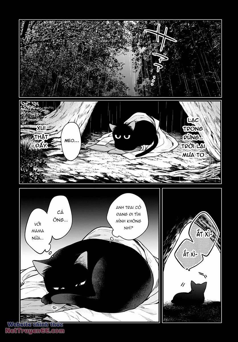 Mi-Chan Wa Kawaretai 13 trang 4