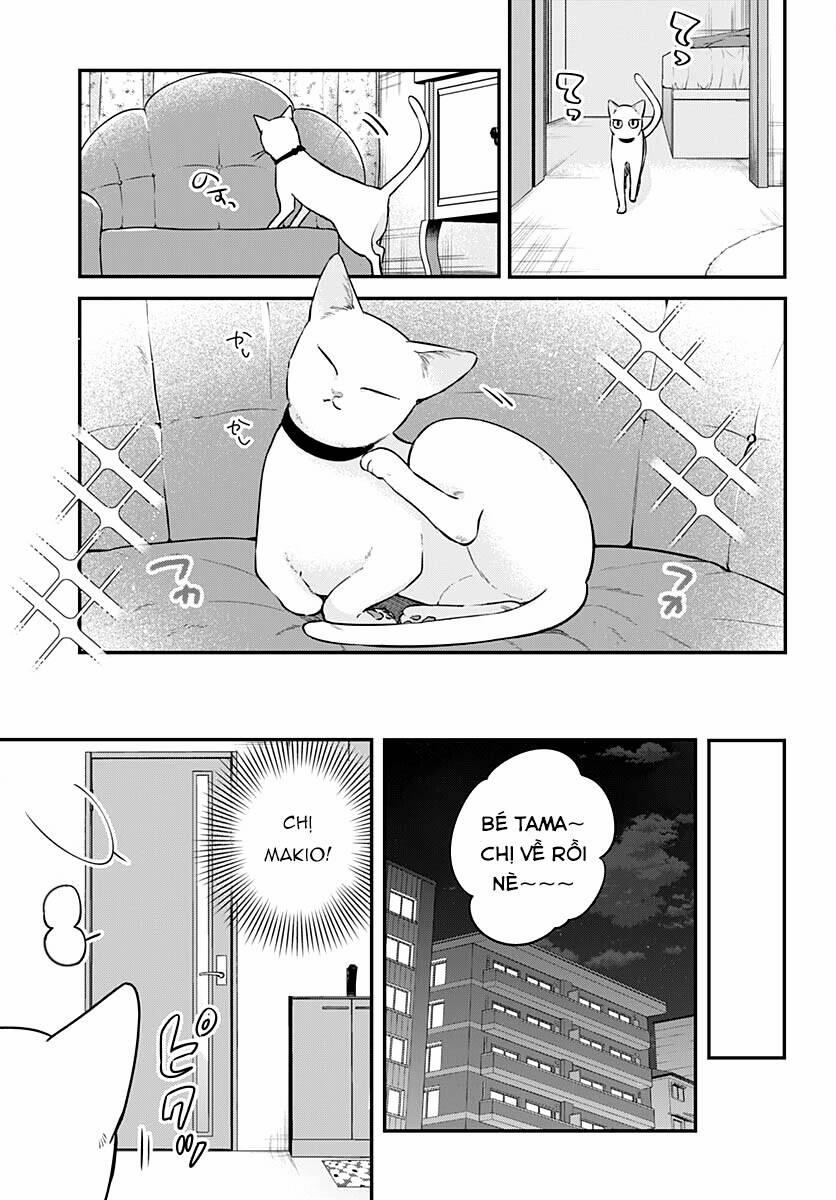 Mi-Chan Wa Kawaretai 8 trang 30