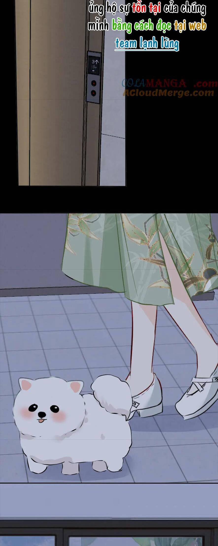 Mi Nhãn Chi Gian 14 trang 11