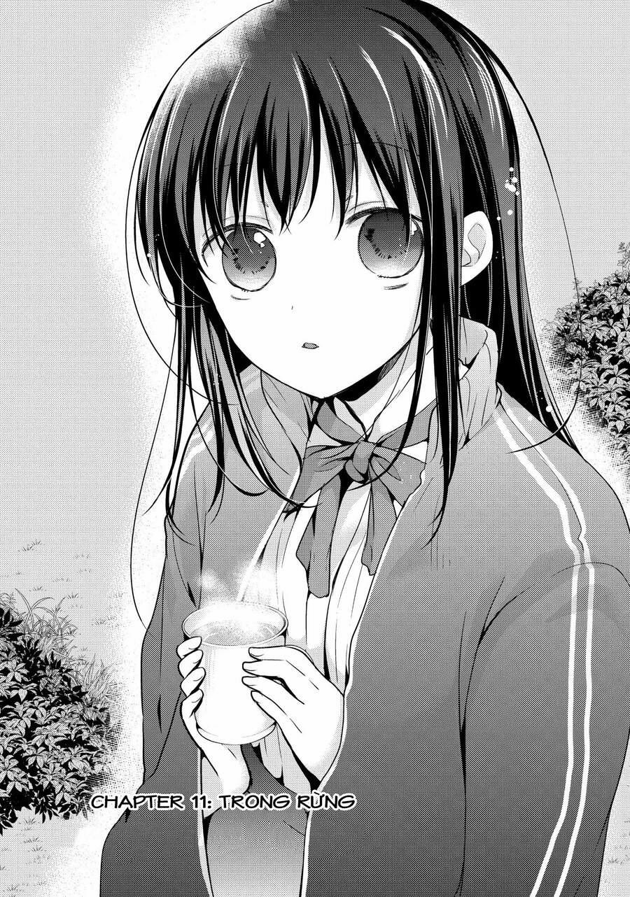 Midara Na Ao-Chan Wa Benkyou Ga Dekinai 11 trang 1