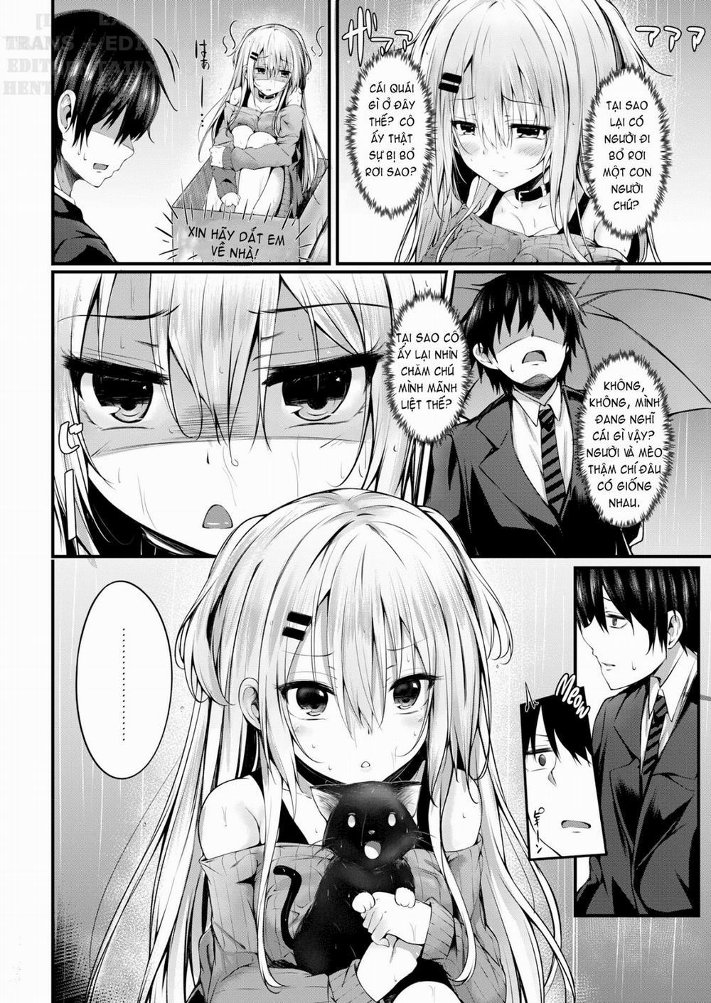 Migratory Cat Oneshot [Ko Bị Cen] trang 4