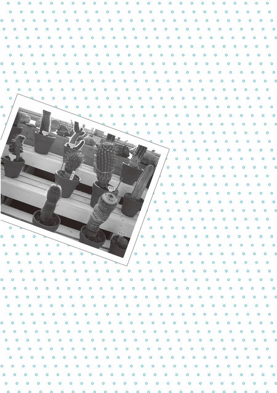 Mikako-San 4 trang 4