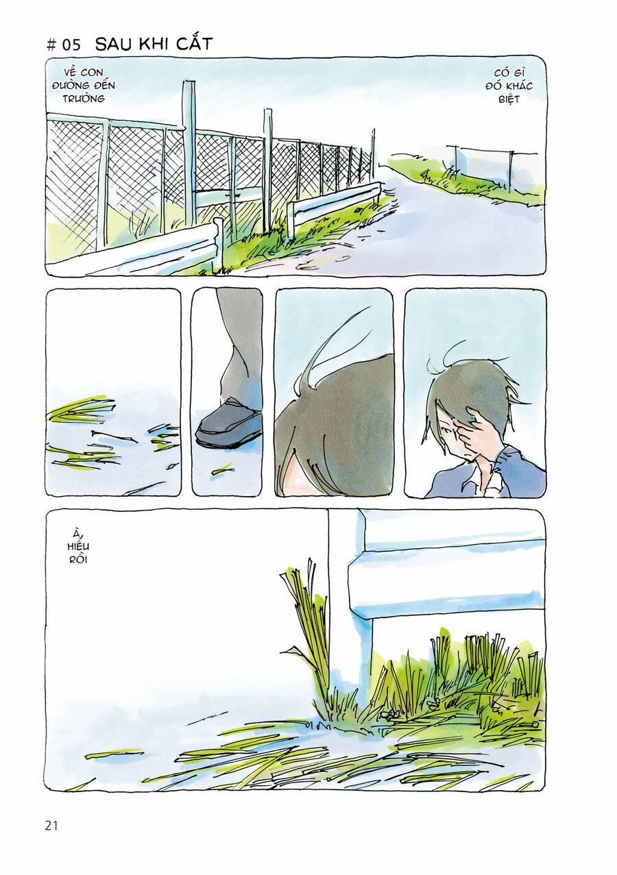 Mikako-San 5 trang 0