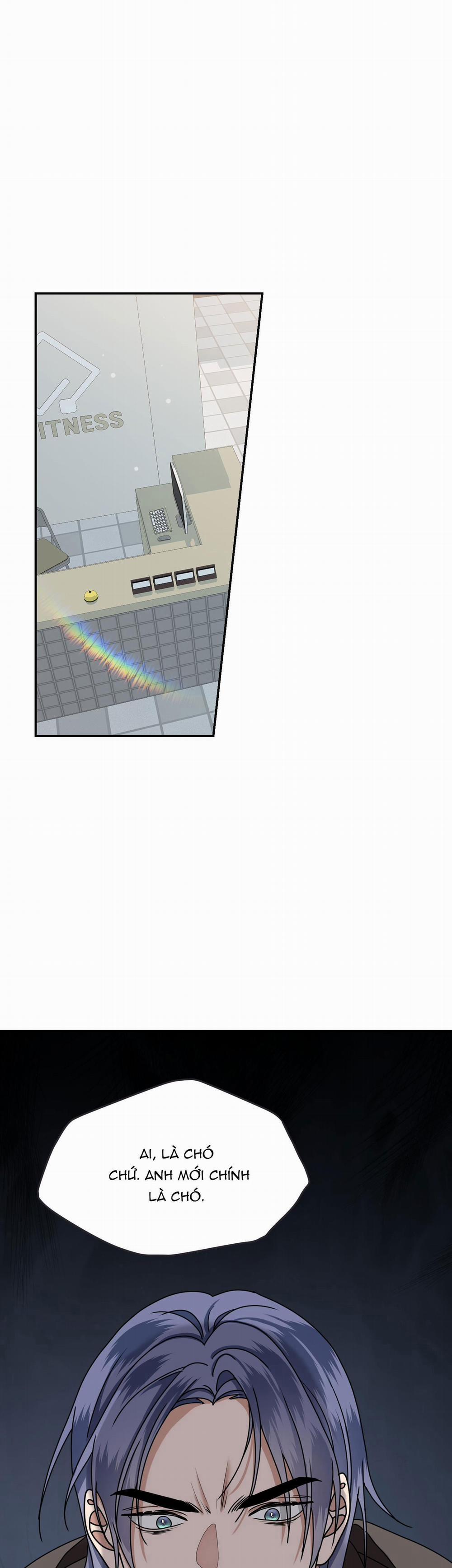 Milky Star 4 H+++++ trang 0