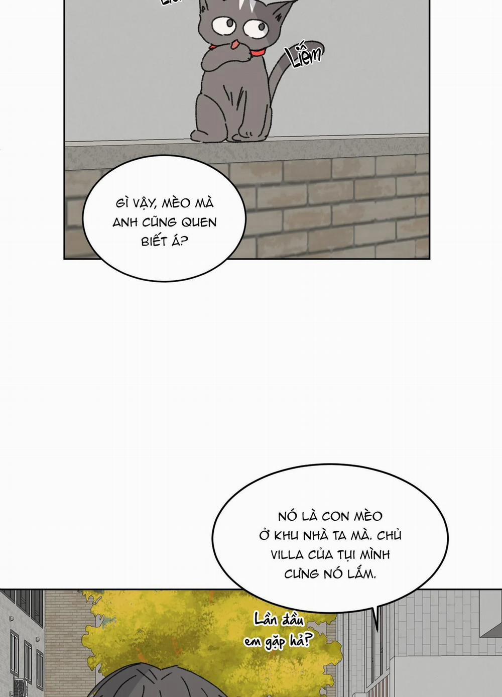 Missing Romance 19 trang 42