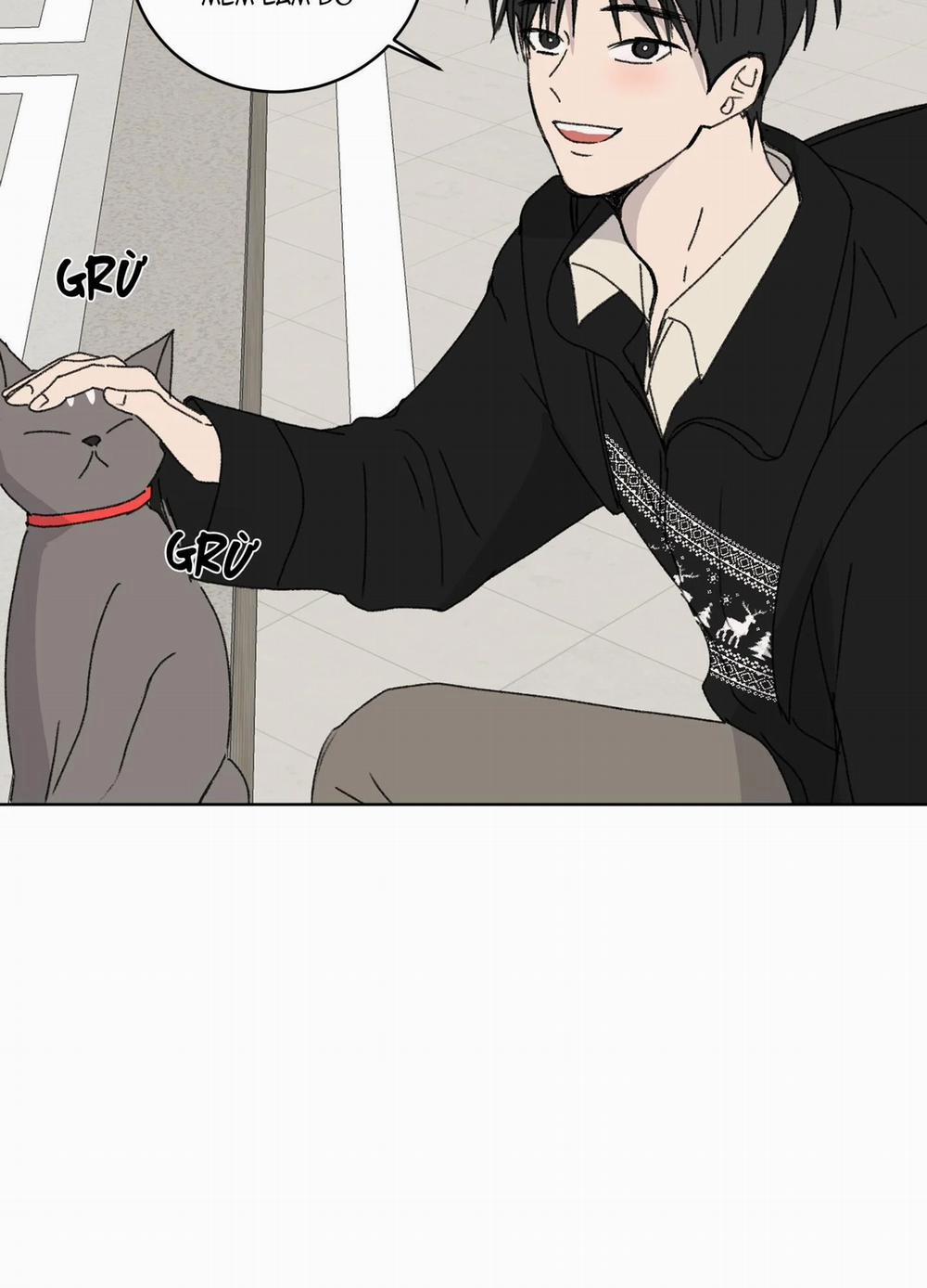 Missing Romance 19 trang 47