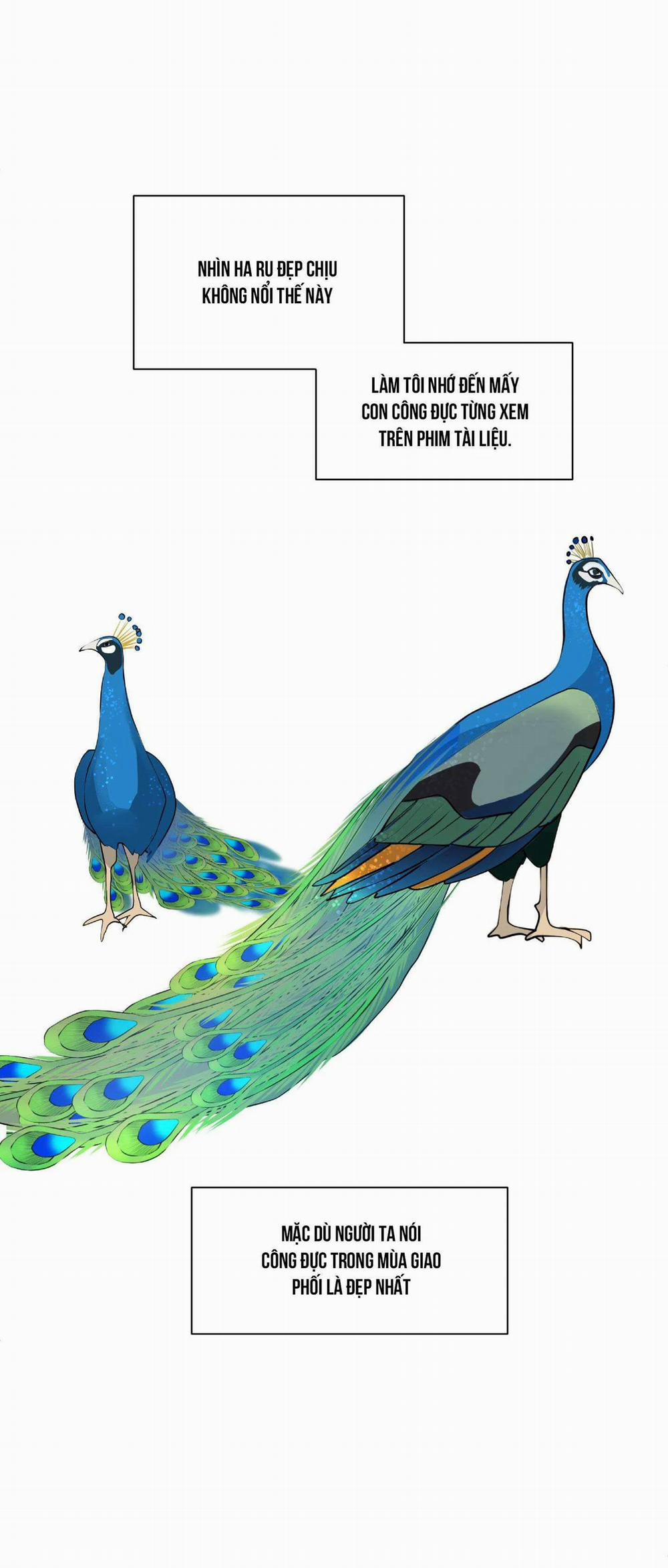 Missing Romance 22 trang 70