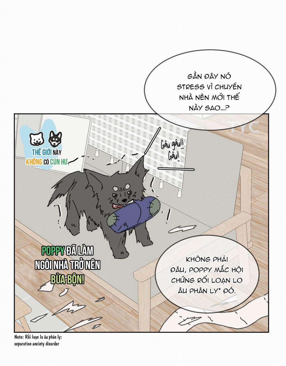 Missing Romance 23 trang 21