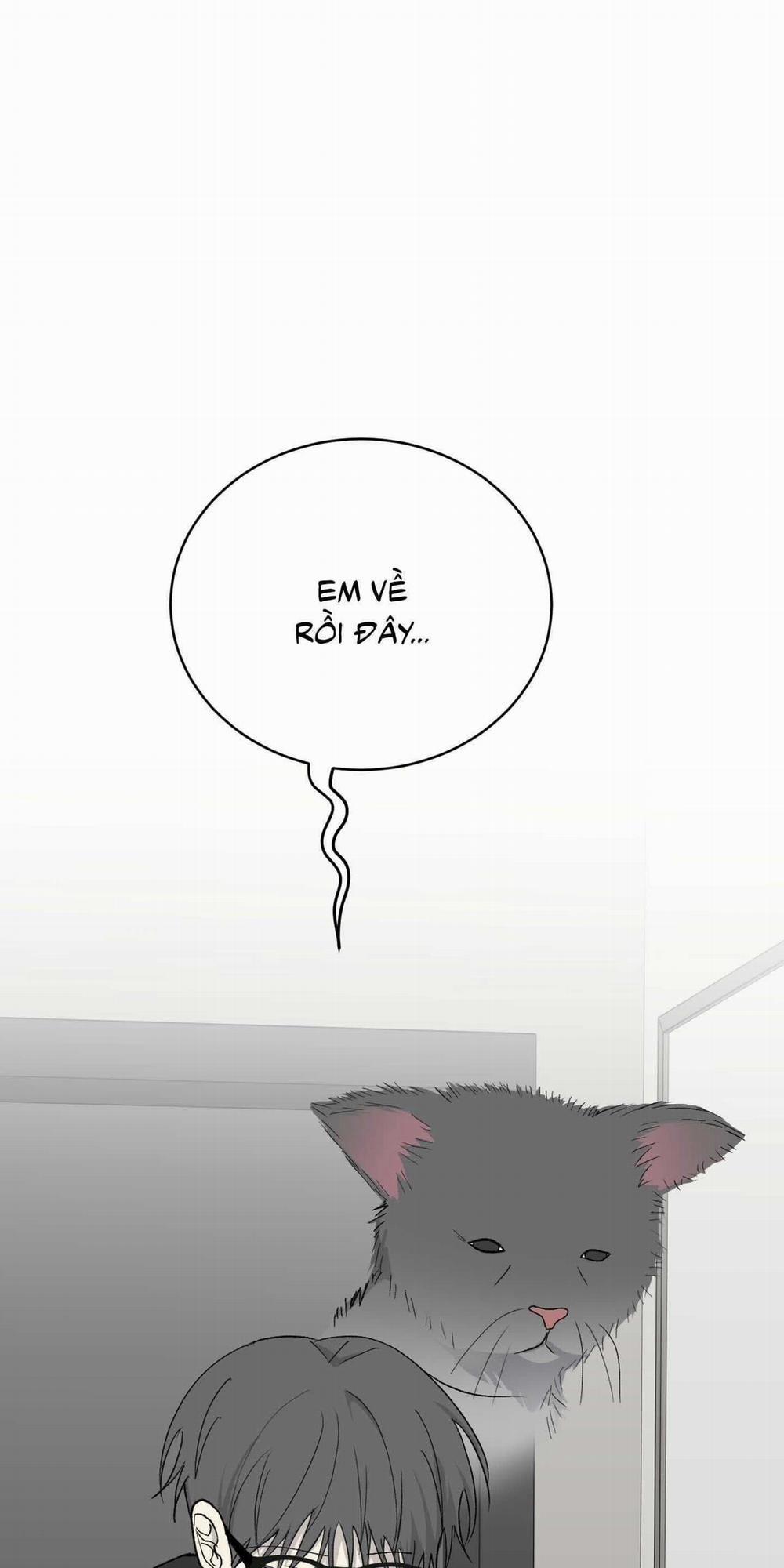 Missing Romance 44 trang 31