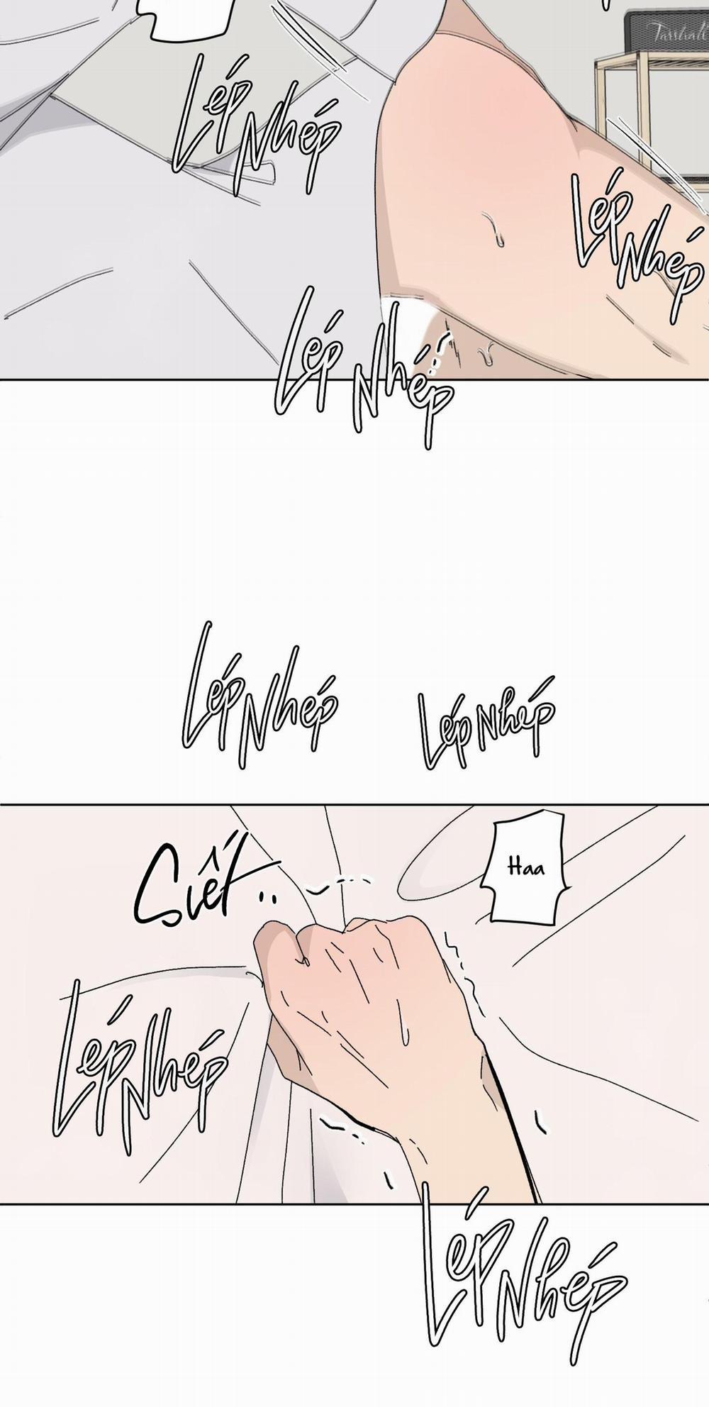 Missing Romance 8 trang 5