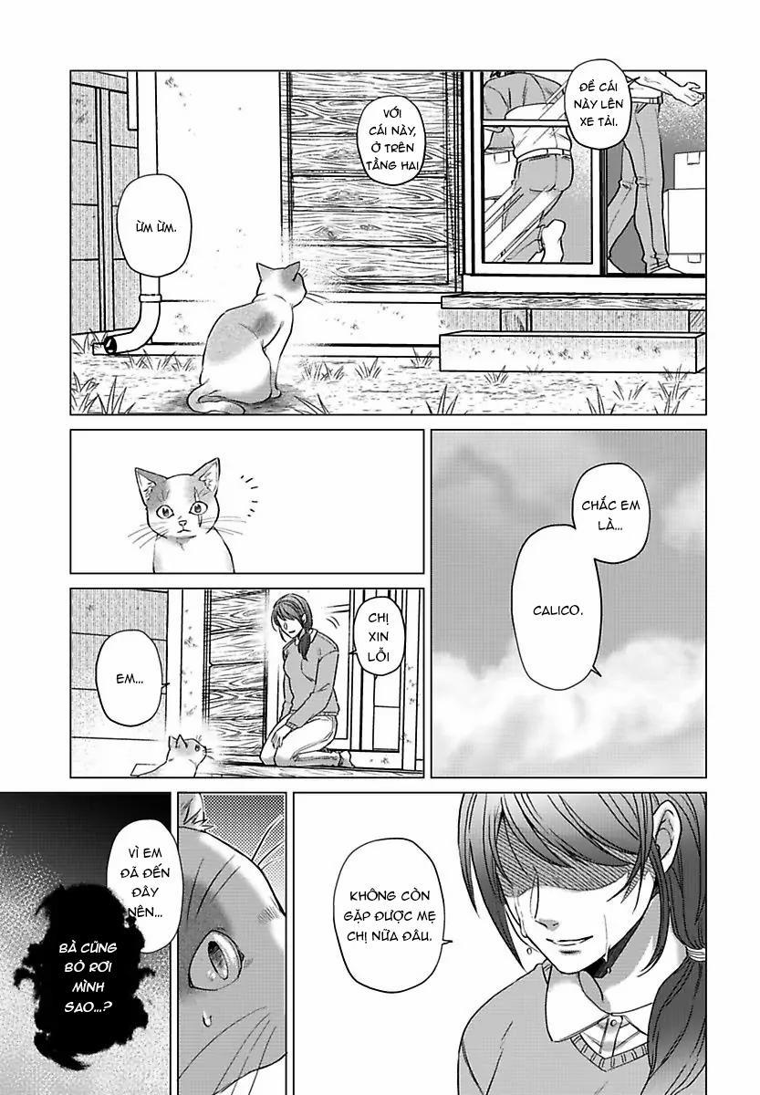 Mofumofu Bakashiai Nikki 3 trang 13