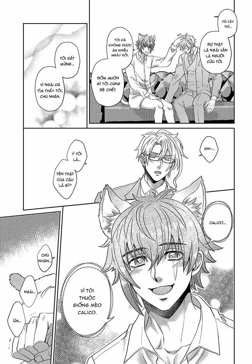 Mofumofu Bakashiai Nikki 4 trang 11