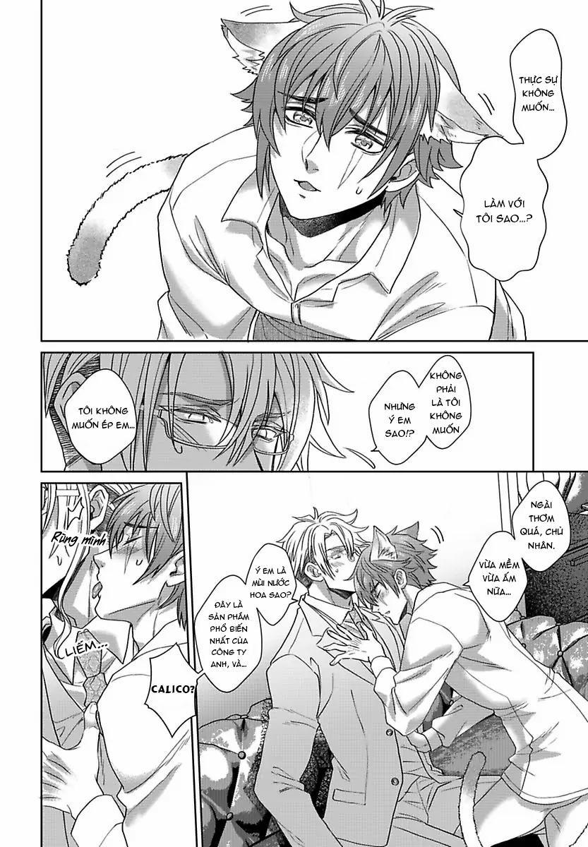 Mofumofu Bakashiai Nikki 4 trang 12