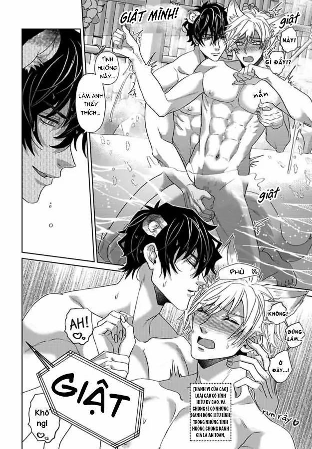 Mofumofu Bakashiai Nikki 5 trang 6