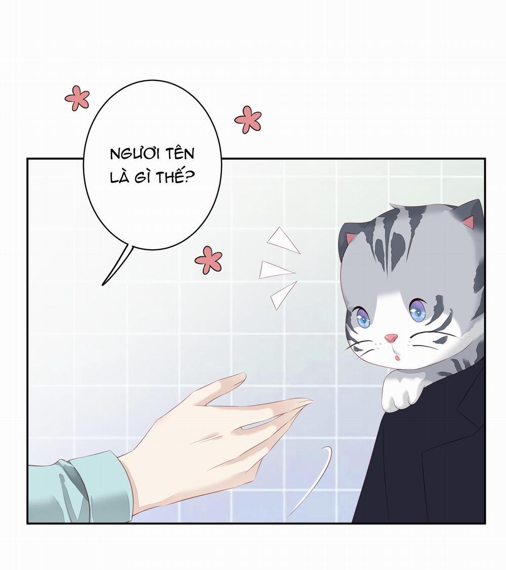 MỐI LIÊN HÔN KHÁC LOÀI 22 trang 28