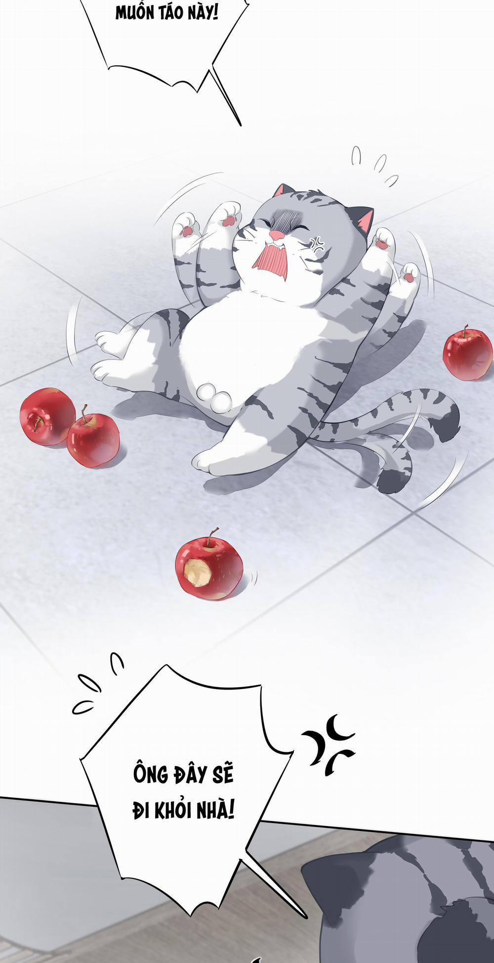 MỐI LIÊN HÔN KHÁC LOÀI 34 trang 31