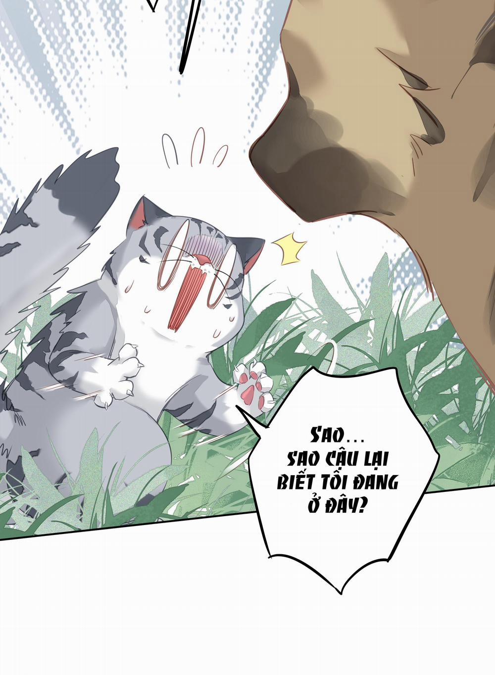 MỐI LIÊN HÔN KHÁC LOÀI 46 trang 46