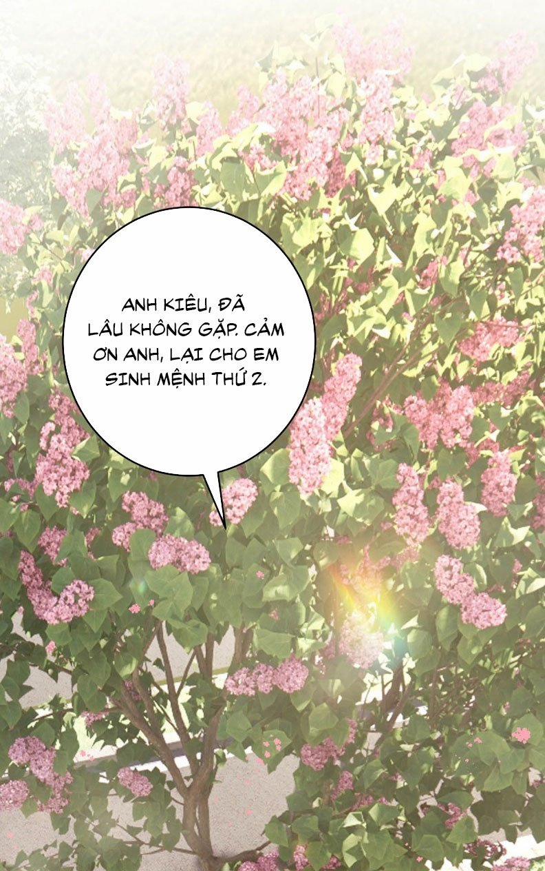 Mỗi Ngày Đều Muốn Làm Bệnh Kiều Vương Tử Xấu Hổ Muốn Độn Thổ 4 trang 45