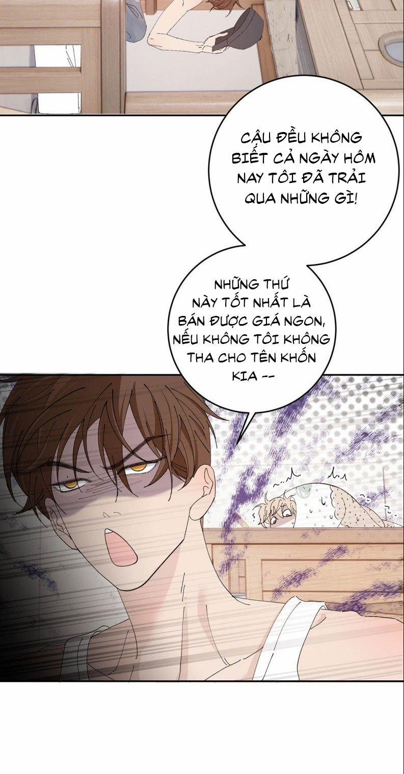 Mỗi Ngày Đều Muốn Làm Bệnh Kiều Vương Tử Xấu Hổ Muốn Độn Thổ 7 trang 10