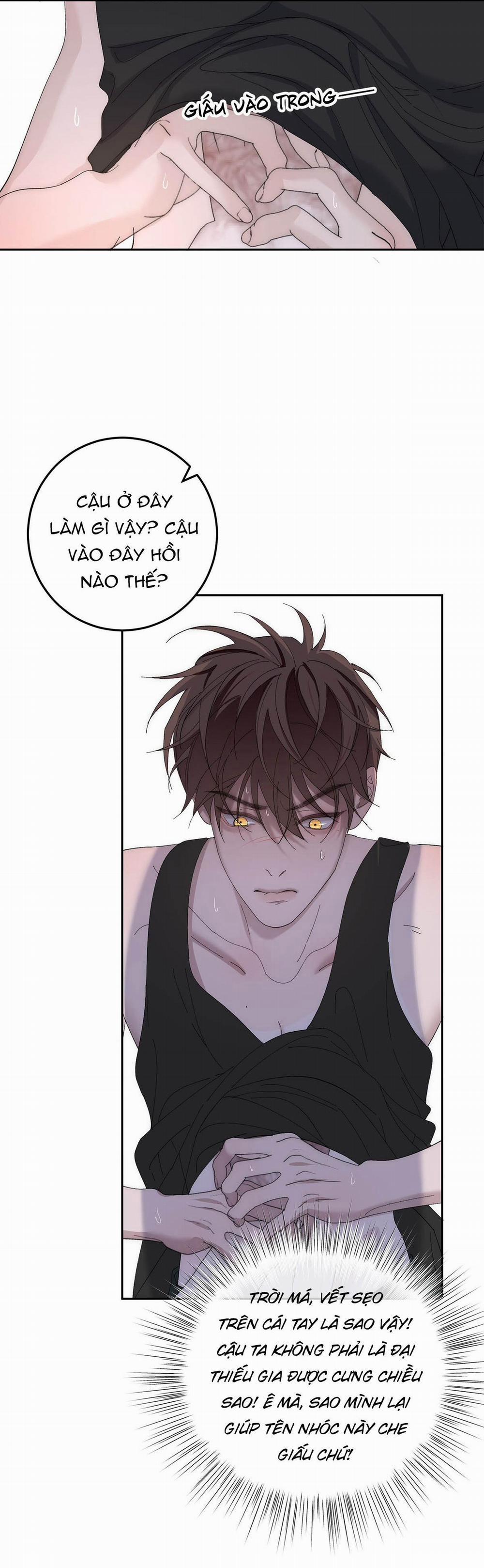 Mỗi Ngày Đều Muốn Làm Hoàng Tử Ốm Yếu Đội Quần 8 NGANG RAW trang 9