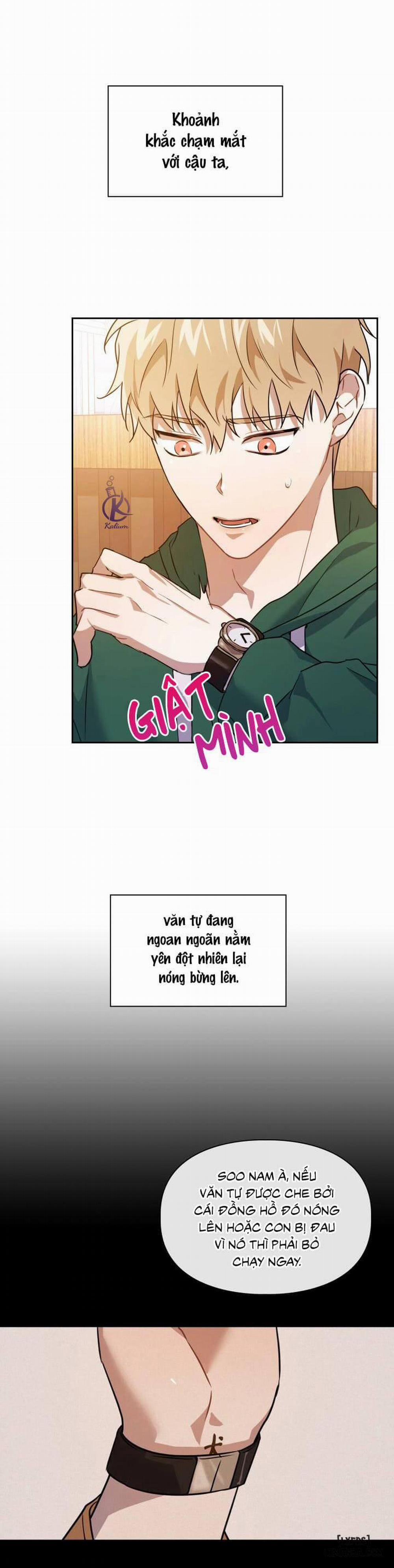 Mồi nhử 0 trang 1