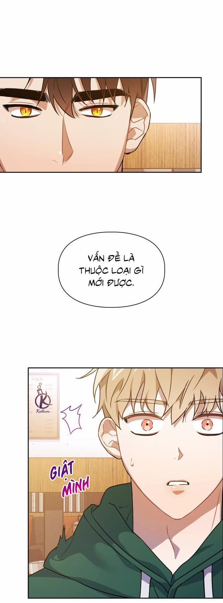 Mồi nhử 1.5 trang 7