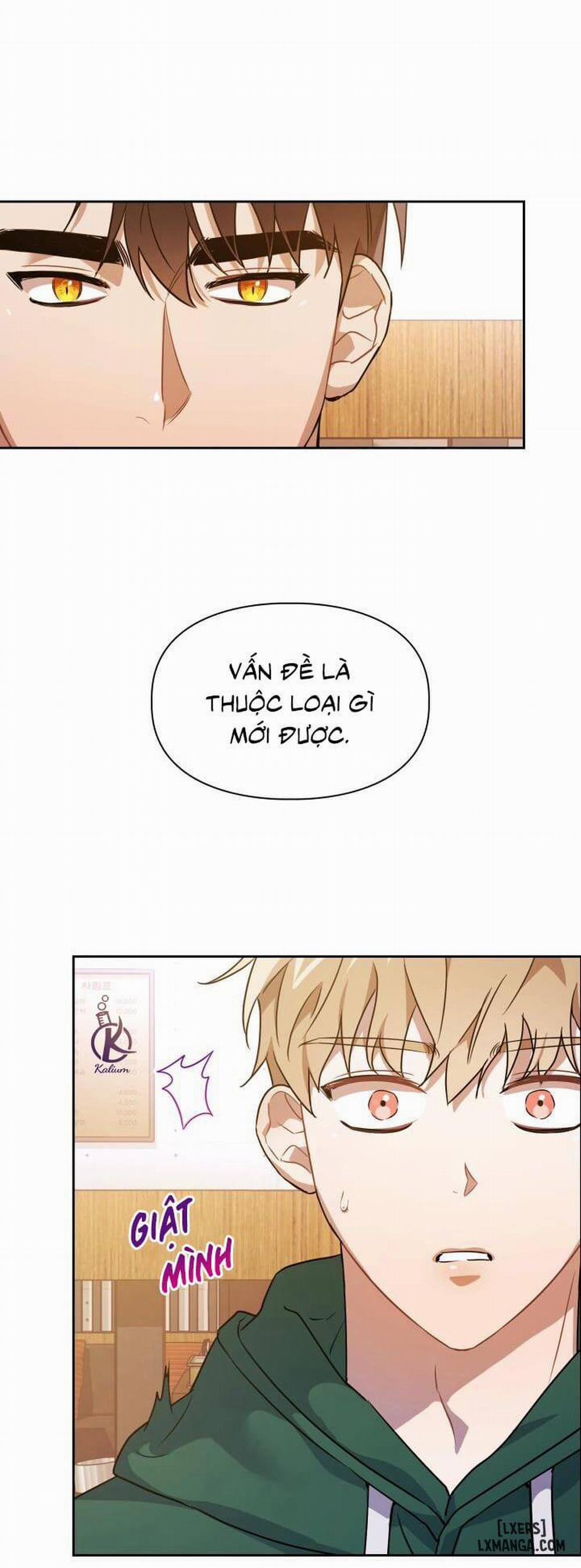 Mồi nhử 1 trang 19