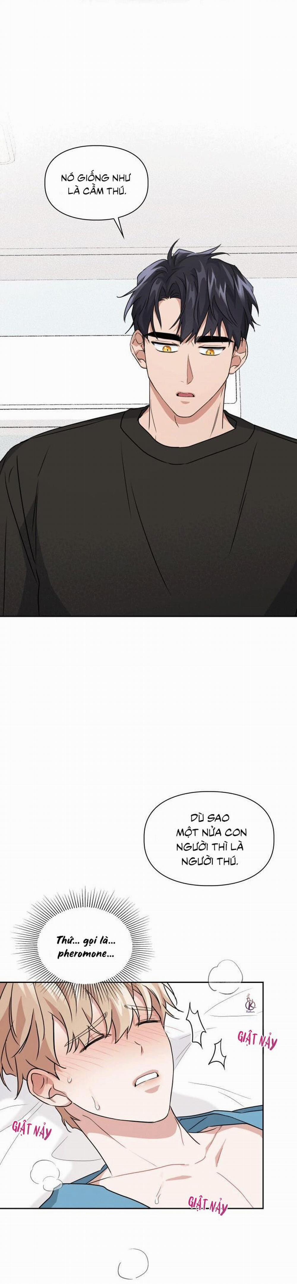 Mồi nhử 18.5 trang 1