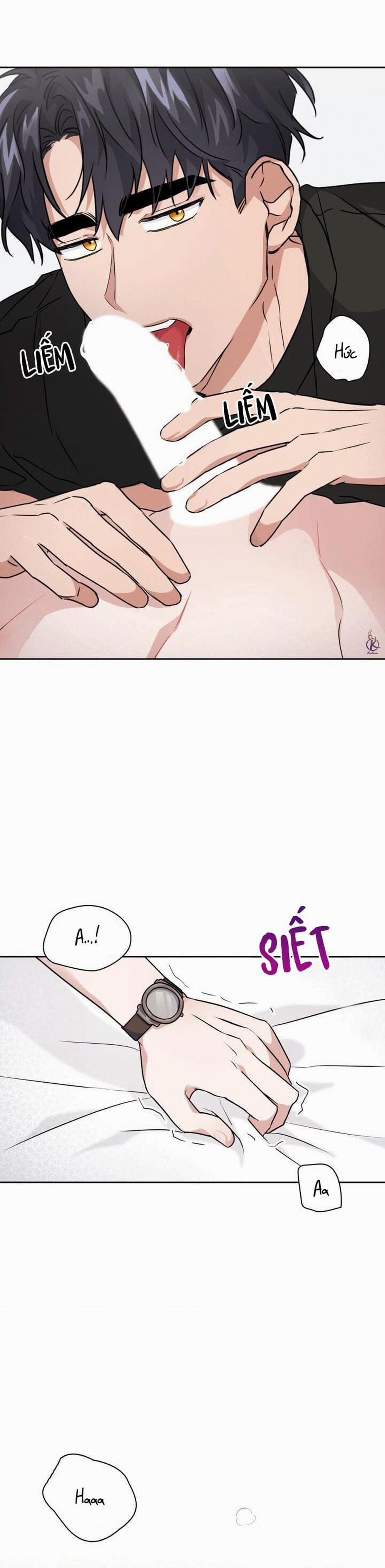 Mồi nhử 18.5 trang 11