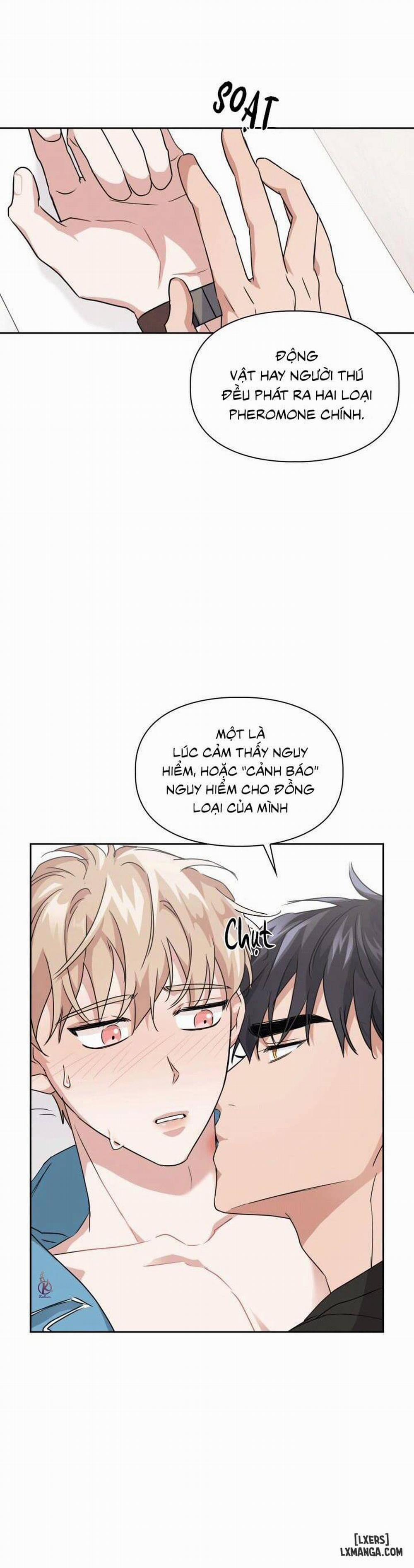 Mồi nhử 18 trang 11