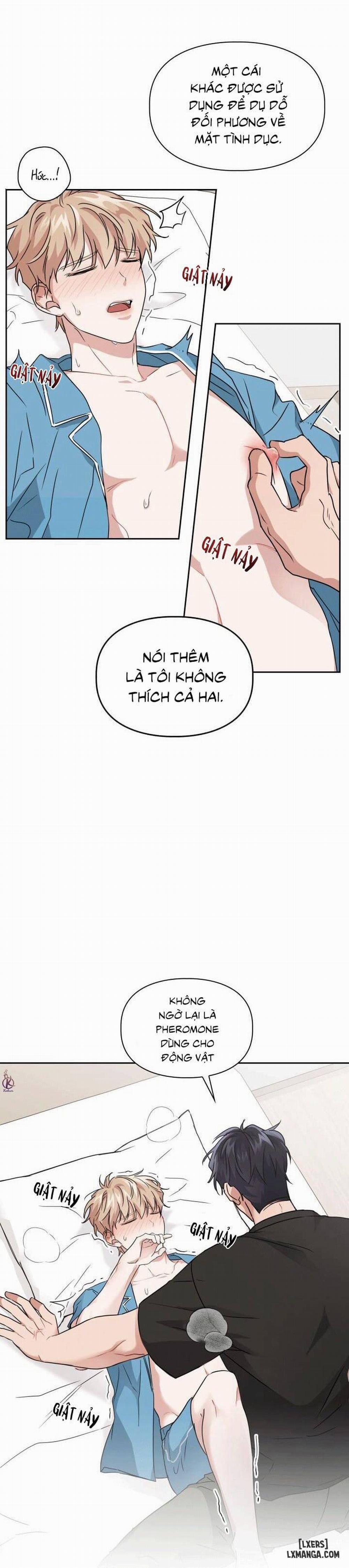 Mồi nhử 18 trang 12