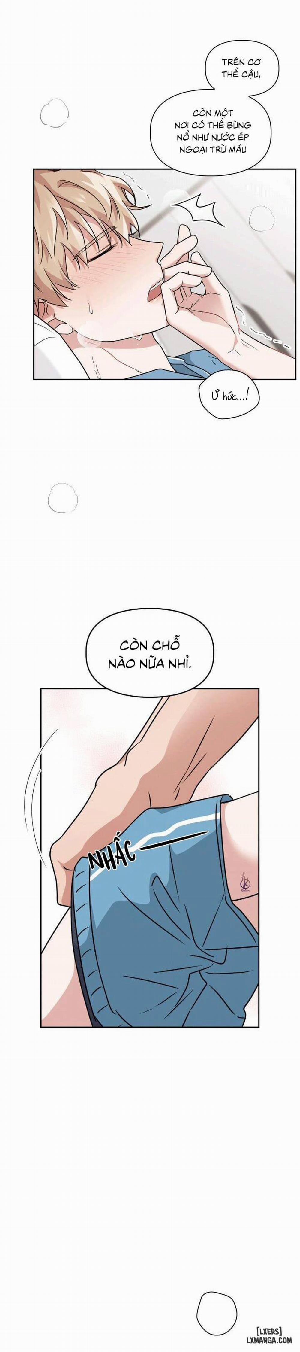 Mồi nhử 18 trang 17